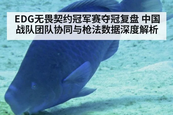 EDG无畏契约冠军赛夺冠复盘 中国战队团队协同与枪法数据深度解析